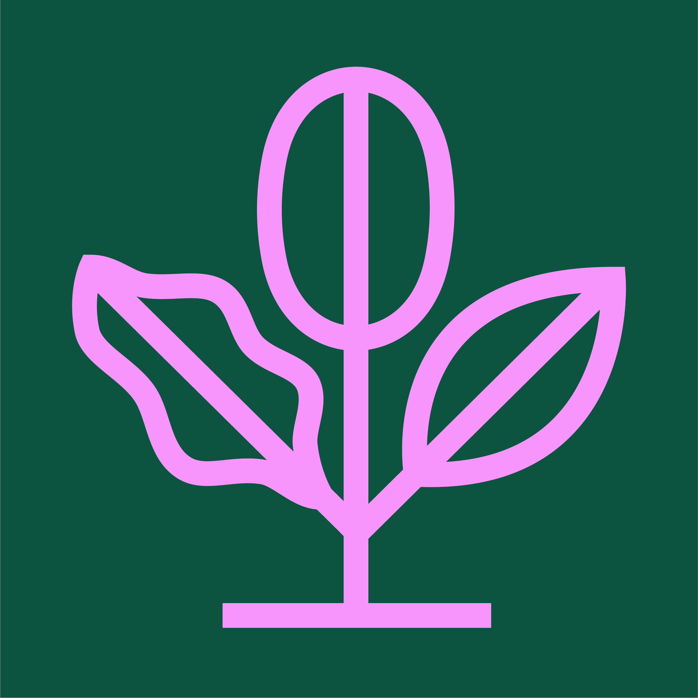 VV principes diversiteit kleur